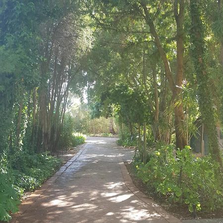 Te Amo Guesthouse ستيلينبوش المظهر الخارجي الصورة
