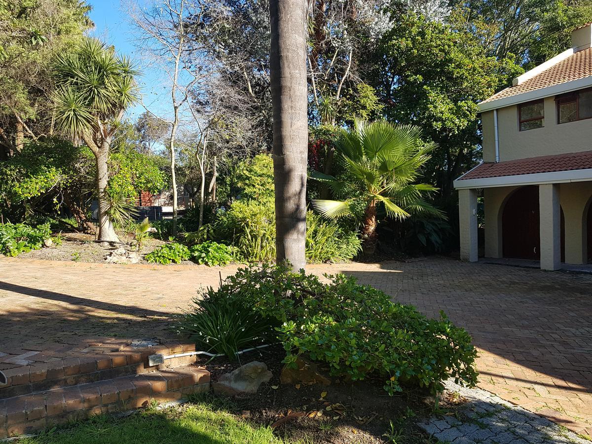 Te Amo Guesthouse ستيلينبوش المظهر الخارجي الصورة