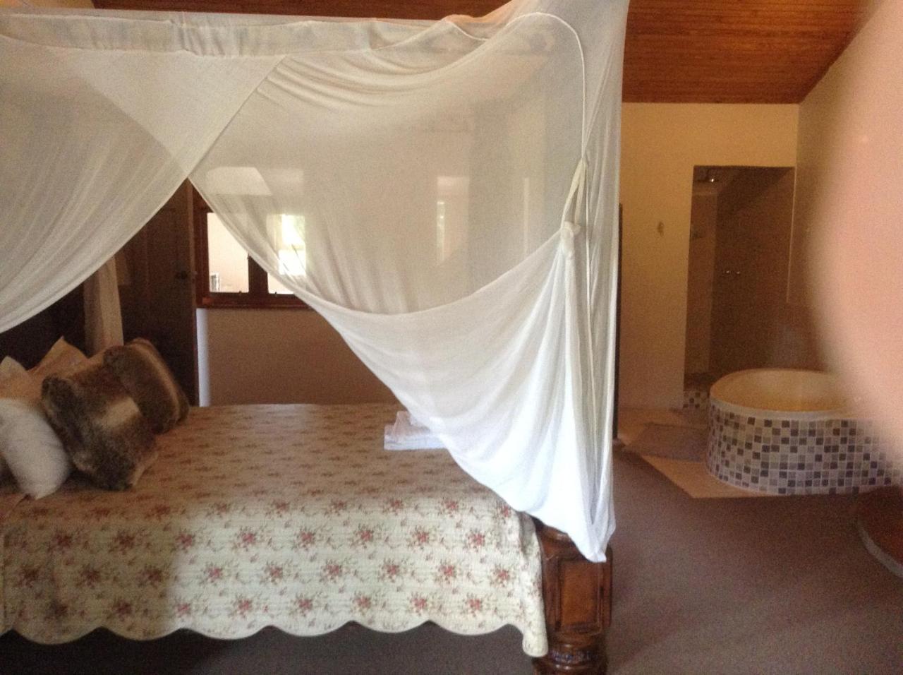 Te Amo Guesthouse ستيلينبوش المظهر الخارجي الصورة