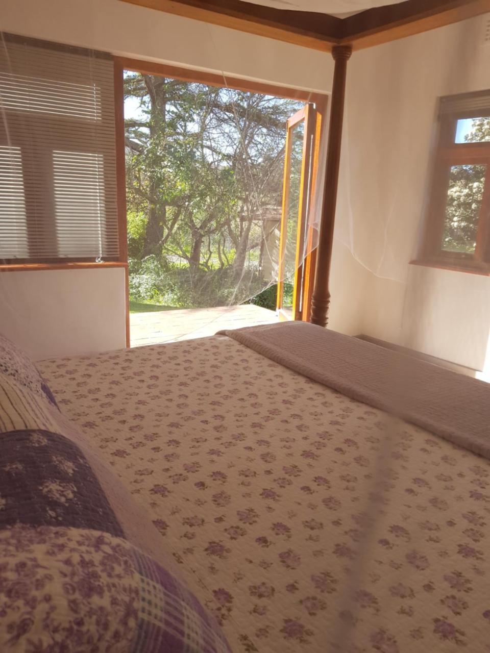 Te Amo Guesthouse ستيلينبوش المظهر الخارجي الصورة
