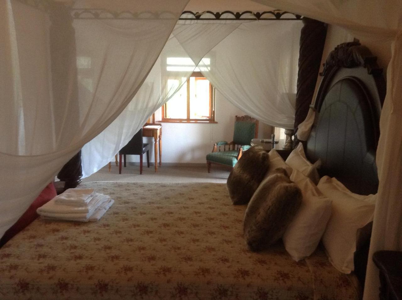 Te Amo Guesthouse ستيلينبوش المظهر الخارجي الصورة