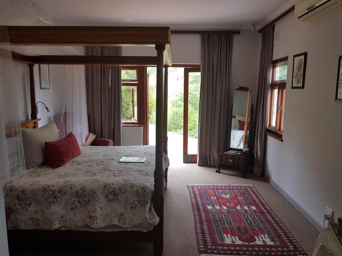Te Amo Guesthouse ستيلينبوش المظهر الخارجي الصورة